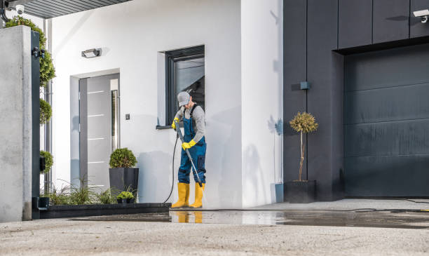 Best Roof Washing  in Redwood City, CA